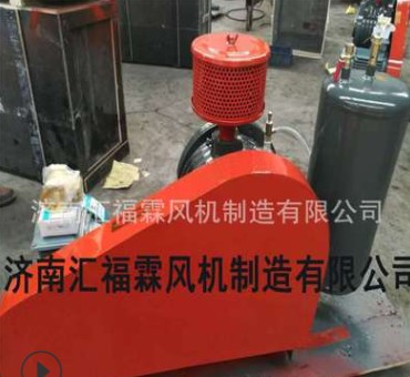 济南厂家专业生产设计回转式曝气风机 低噪音回转式鼓风机图3
