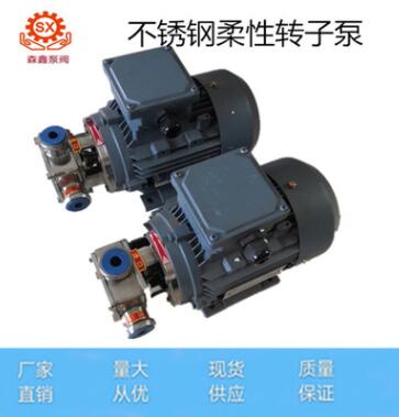 厂家直销RXB-40不锈钢挠性转子泵 齿轮泵 自吸泵 安装尺寸图2