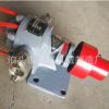 厂家销售 电加热齿轮泵 批发供应 电加热保温泵 流量2立方齿轮泵