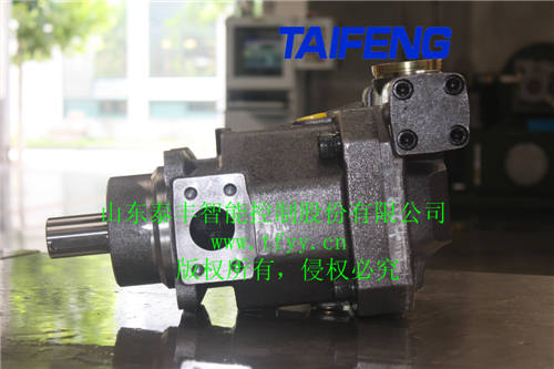 泰丰专业生产轴向柱塞泵