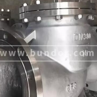 北京某公司采购般德不锈钢止回阀用于电厂