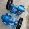 沧州宏润泵业CB-7型稠油泵-不锈钢食品级齿轮泵