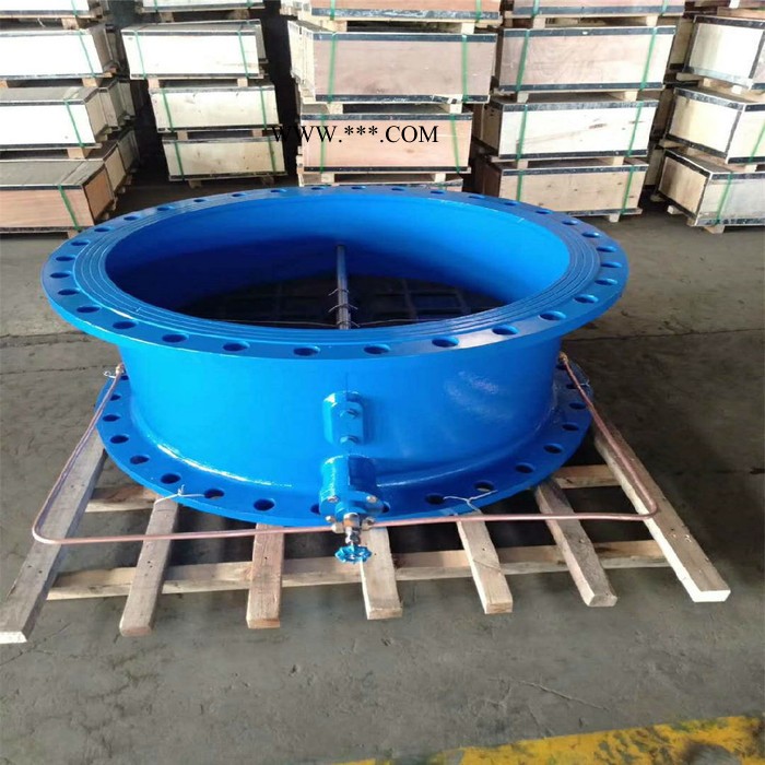 阀门 厂家 微阻缓闭式止回阀 HH44X48/49 DN100 DN150 消声止回阀 大口径止回阀 铸铁止回阀图1