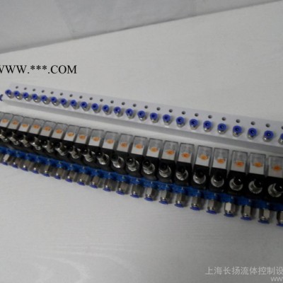 HAUST   C23JVD1.2-J25电磁阀      电磁阀组   换向阀组