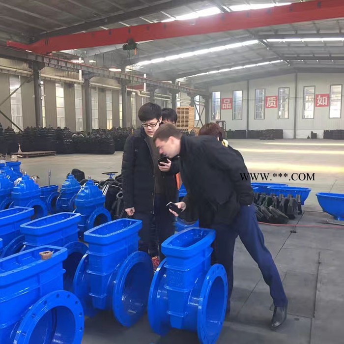 法兰铸铁闸阀 软密封暗杆闸阀 小口径闸阀 软密封闸阀 可定制图1