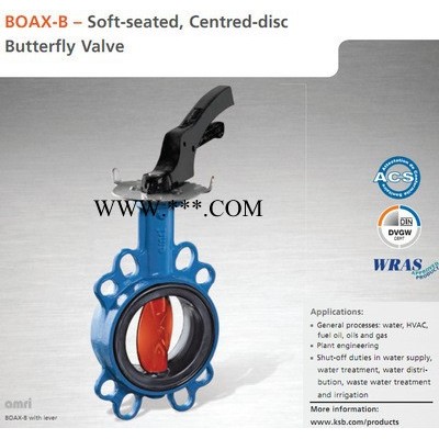 蝶阀BOAX 对夹式 球铁阀体 不锈钢阀轴304不锈钢阀板带手柄,DN50