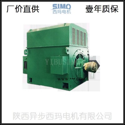 西玛绕线高压电机YRKK6302-8-1000KW-IP54防护等级高压电动机品牌产品