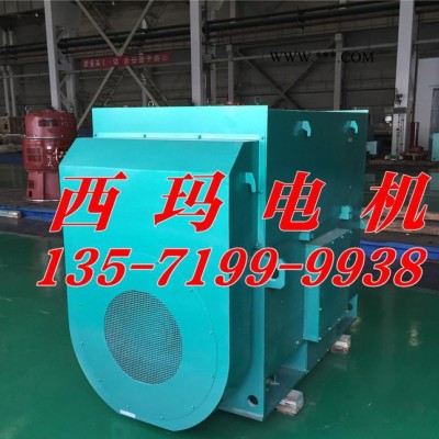 WF户外防腐高压电机 西玛牌高压电机YKK6301-10