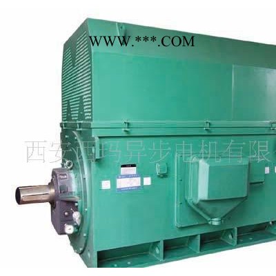 高压电机YKS系列YKS5602-2 2000KW 6KV高压电动机