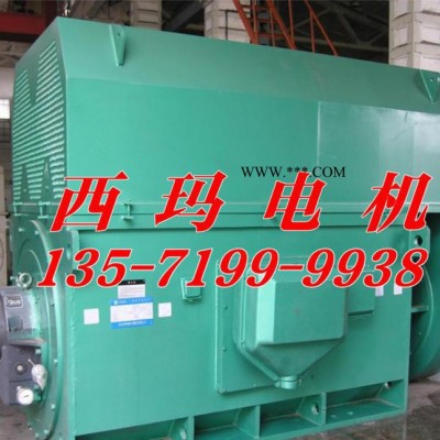 西安电机厂西玛电机 Y系列Y4509-4 900KW 6KV高压电机