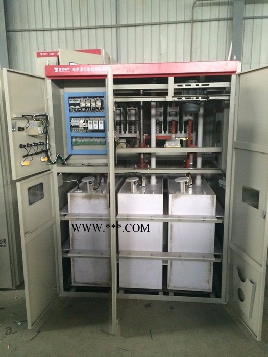 供应双友GYYQ系列高压电机软启动柜 液态软起动柜水阻柜液阻柜