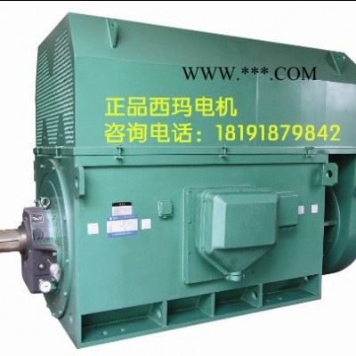 西玛电机YKK5002-10 355KW 6KV IP54 西玛YKK 6KV高压电机