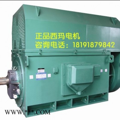 YKK7103-4 3150KW 6KV IP54 西玛YKK 6KV高压电机
