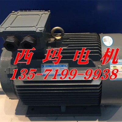 YVFE2-160L-4 YVF2-160L-4 A 15KW  380V西玛三相异步变频电机