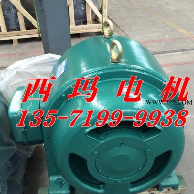 现货西玛JS高压电机JS1510-6 650KW 6000V鼠笼电动机