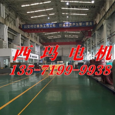 Y系列Y5003-4 900KW 10KV 西安西玛高压电机