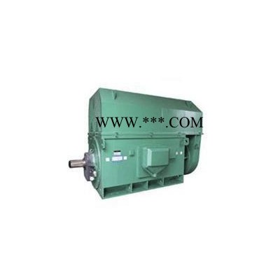西北专业电机YR10002-10 5000KW 6KV高压电机 风机专用