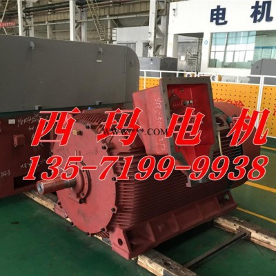 YBX2-4503-2 630kw 6000V 西玛高压电机