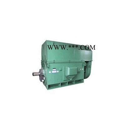 大型高压电机YKS8001-4 5000KW 6KV 1490R 高压电动机