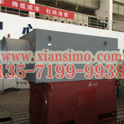 西玛高压电机  空水冷高压电机  YKS4001-6/220KW/10000V/B3/F级绝缘