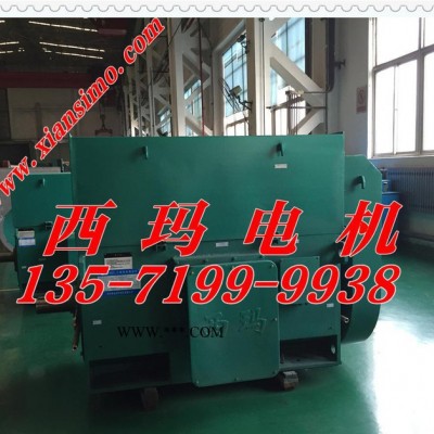 西安泰富西玛YKK9006-6 3150KW 10KV高压电机 西安西玛电机厂