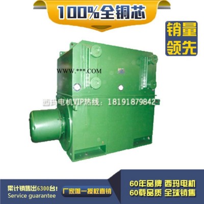 泰富西玛YKK5601-10 400KW 10KV IP54 西玛电机10KV高压电机