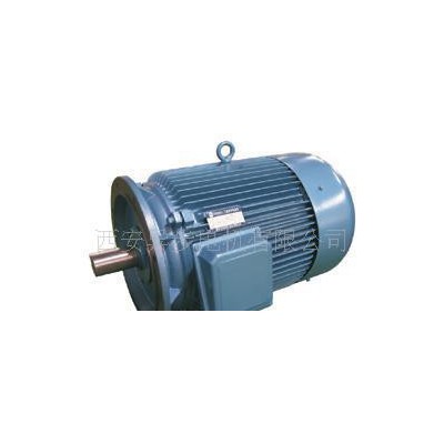 西安电机厂Y系列Y315m2-8 132kw西玛高压电机