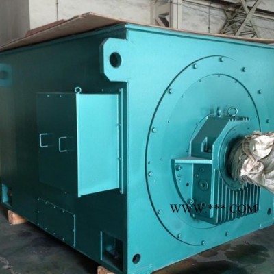 西安泰富西玛电机 Y系列Y6303-2 3150KW 6KV 高压电机