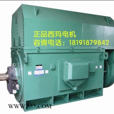 YKK5004-8 560KW 6KV IP54 西玛YKK 6KV高压电机