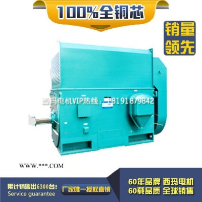 YKK8004-12 1800KW 6KV IP54 泰富 西玛YKK 6KV高压电机
