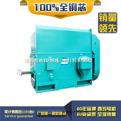 泰富西玛 YKK5002-6 630KW 6KV IP54 破碎机专用西玛绕线型高压电机 西玛YKK 6KV高压电机