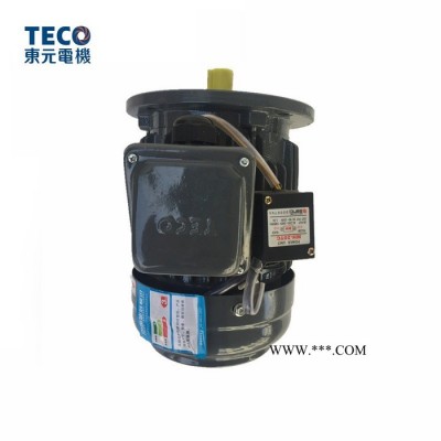 TECO东元电机 变频电机  IC416强冷变频