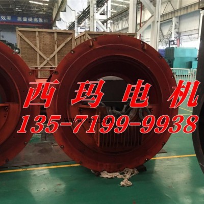 YX450-6/560KW高效高压电机 泰富西玛电机