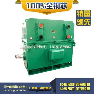 泰富西玛 YKK5601-6 900KW 6KV IP54 破碎机专用西玛绕线型高压电机 西玛YKK 6KV高压电机