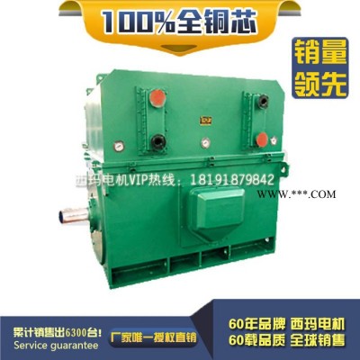 泰富西玛 YKK5004-8 400KW 10KV IP54 西玛YKK 10KV高压电机