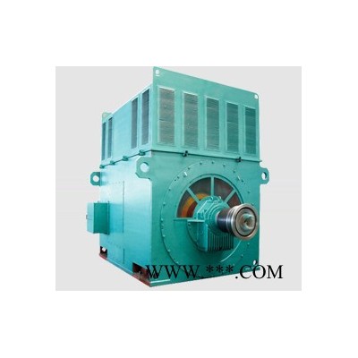 西安西玛电机YKS8009-8 2800KW 10KV IP54高压电机