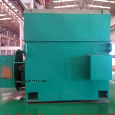 Y4002-6 250KW 10KV IP23 西安西玛电机 风机水泵等用高压电机