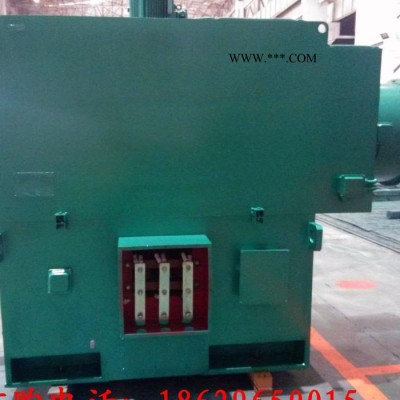 Y6304-12 800KW 10KV IP23 西安西玛电机 风机水泵等用高压电机