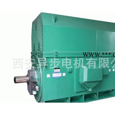 西安泰富西玛YR8002-6 3550KW 6KV高压电机 风机专用