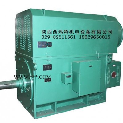 西安西玛电机YR4002-6 220KW 10KV IP23破碎机绕线型高压电机