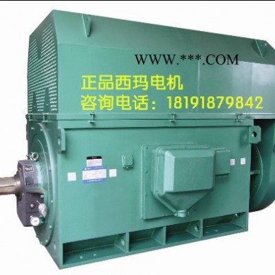 泰富西玛YKK8007-4 4000KW 10KV IP54 西玛YKK 10KV高压电机