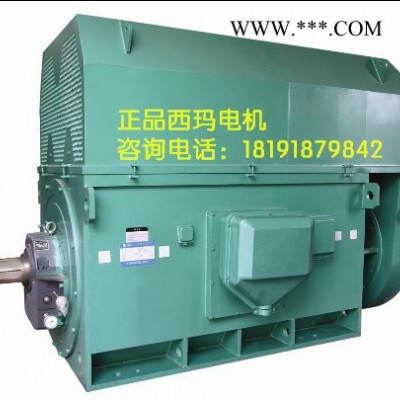YKK6301-2 1600KW IP54 10KV 泰富西玛 西玛YKK 10KV高压电机