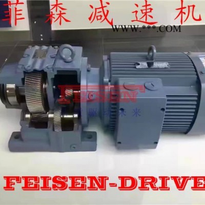 菲森TR108-Y22-4P减速机齿轮减速机