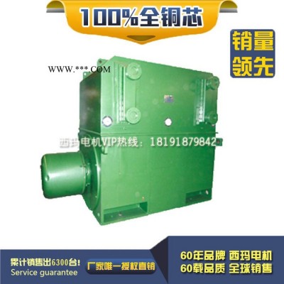 西安西玛电机高压电机YRKS5001-8 500KW 6KV IP54绕线型矿山电机