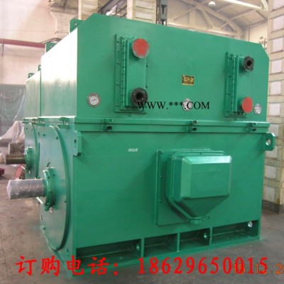 西安西玛电机YKS4005-4 450KW 6KV IP54高压电机
