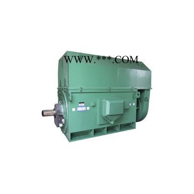 西安西玛电机YKS4506-10 250KW 6KV IP54高压电机