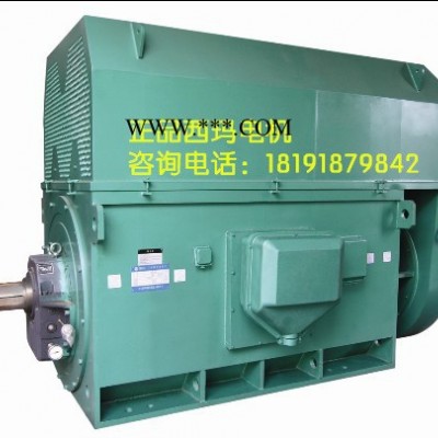 YKK4003-4 315KW 6KV IP54 泰富西玛 西玛YKK 6KV高压电机