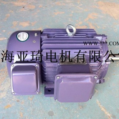 变频调速三相电动机YVP315M-4-132KW高速变频 正宗变频电机