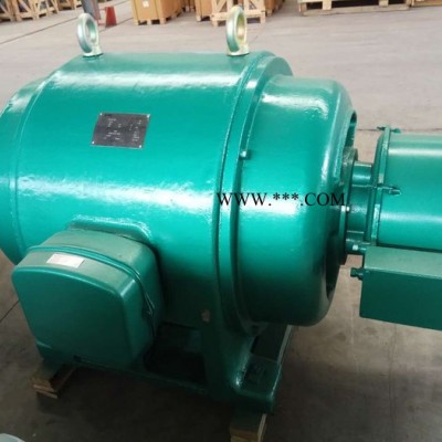 高压电机 JR157-10 260kw 380V 西玛电机