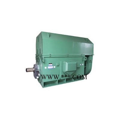 西安西玛电机YKS7108-8 1800KW 10KV IP54高压电机